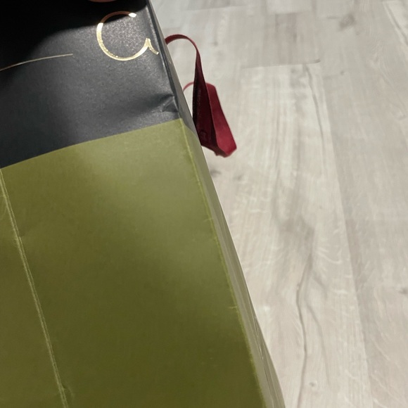 Gucci 100 Years Anniversary Special Edition Empty Paper Bag 13.50”x 10” x 5” - Picture 14 of 15